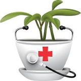 ir.daro.herbal