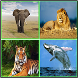 com.ram.animalsapp