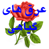 agiyahi.agiyahi29