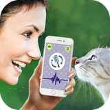 com.captaincoon.cat.simulator