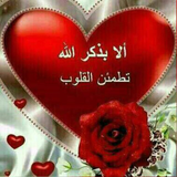 shahab.qo.maher