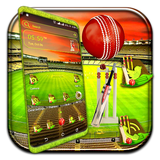 com.themesgarden.cricket.stadium