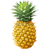 com.Parsoomash.Cure_Fruit