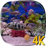 com.credianz.aquarium4k