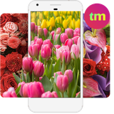 com.topmobileringtones.flowerwallpaperhdfree