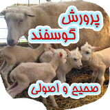 iran.kamranjan.amozeshgosfand