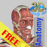 com.hssn.anatomy3dlite