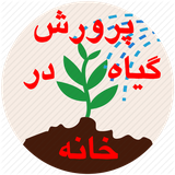 pgdkh.pgdkh78