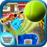 com.game.edstudio.am.cricketstreetcup