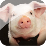 pl.tangelo.android.farmanimals