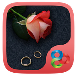 com.gau.go.launcherex.theme.sira.free