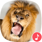 io.appp.sounds.lion