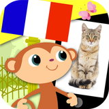ir.tinasoft.shana_french