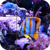 com.tordusgames.puzzles.fish