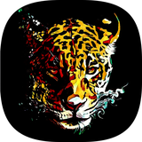 com.incatch.animal