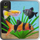 com.jkstudiogames.aquariumfish