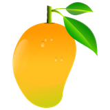 com.hellosofts.mango