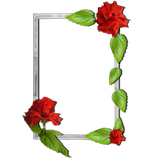 com.palmeralabs.photo_frames.flower_photo_frames