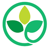 com.honarvar.daroyi