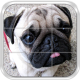 com.blueyellowstudios.dogspuzzlefree