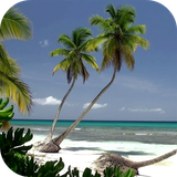 com.pg.oceanbeach