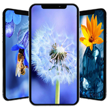 com.newandromo.dev25102.app171447