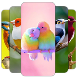 com.HdWallpaper.BirdWalppaper