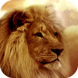 com.andromo.dev230101.app319712