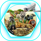 com.appdevl.zoo