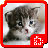 air.com.dimax.puzzles.kitty