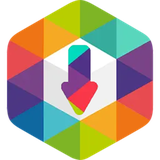 com.seyyedstar.rubikadownloader