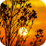 com.leafgreen.sunset