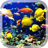 com.wallpaper.studio.zhilin.aquarium